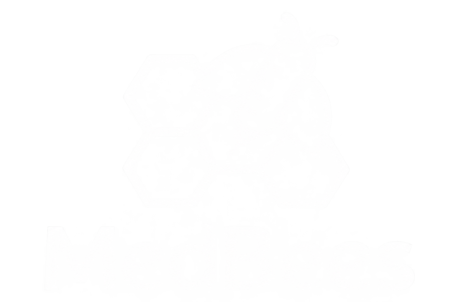 Kunde 1